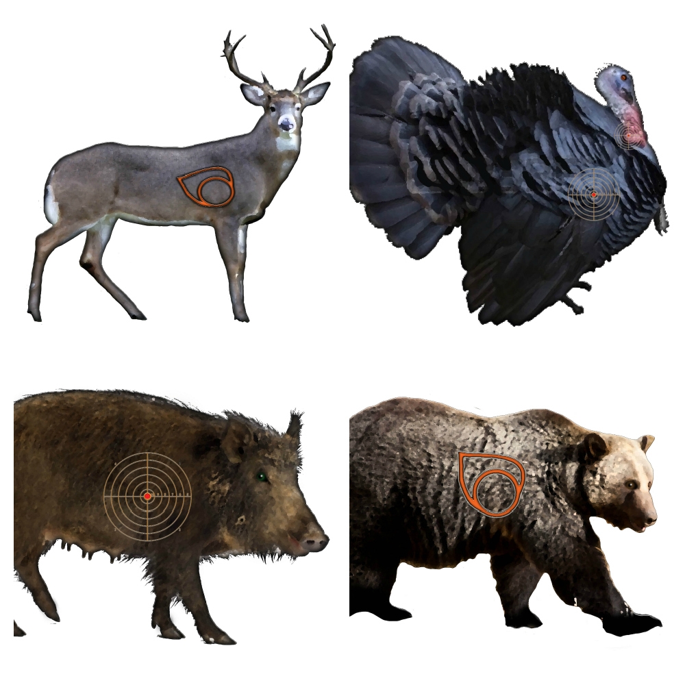 Printable Deer Target For Bow Hunters