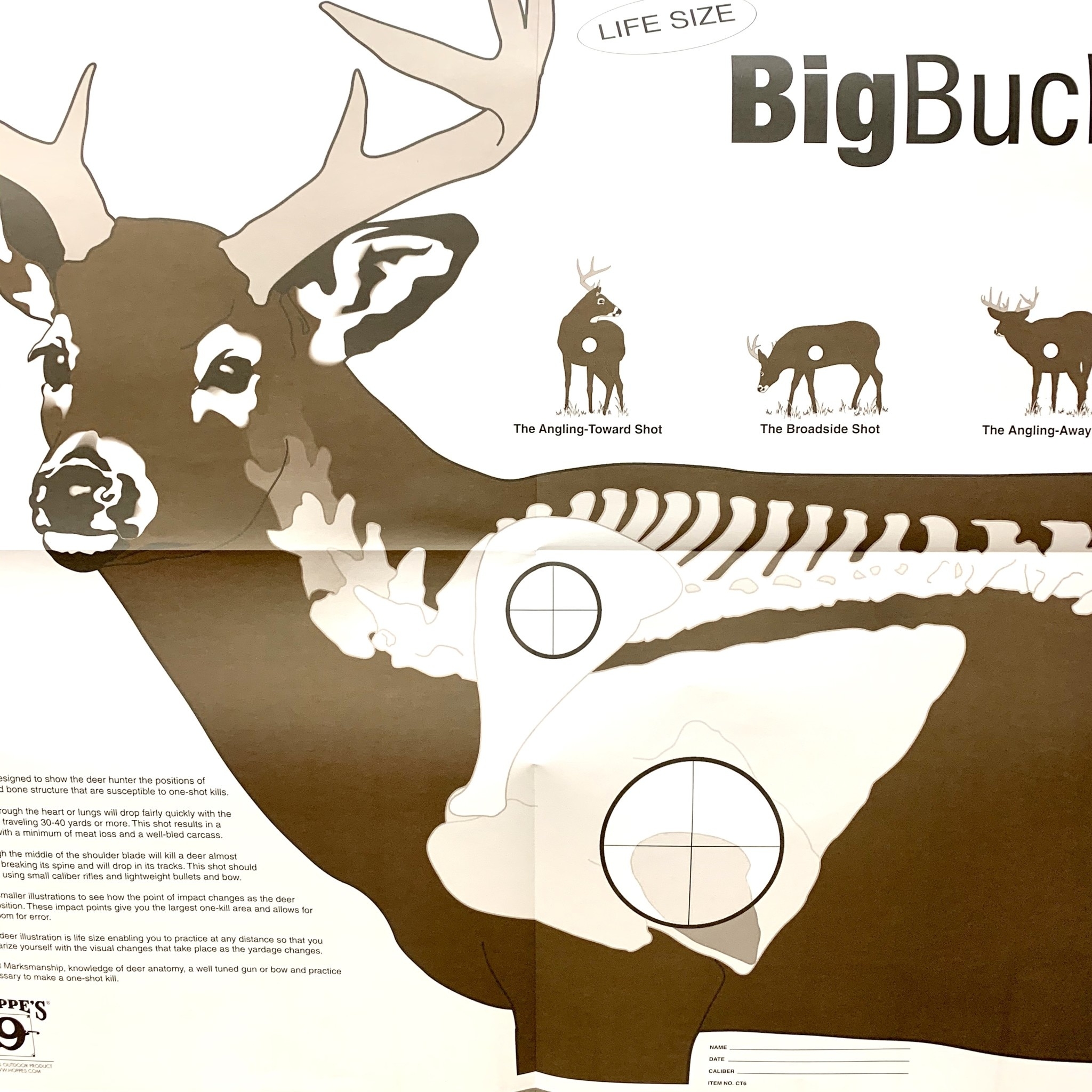 5 Pack Sighting In Vitals Deer Targets 28 x28 Goble s Firearms