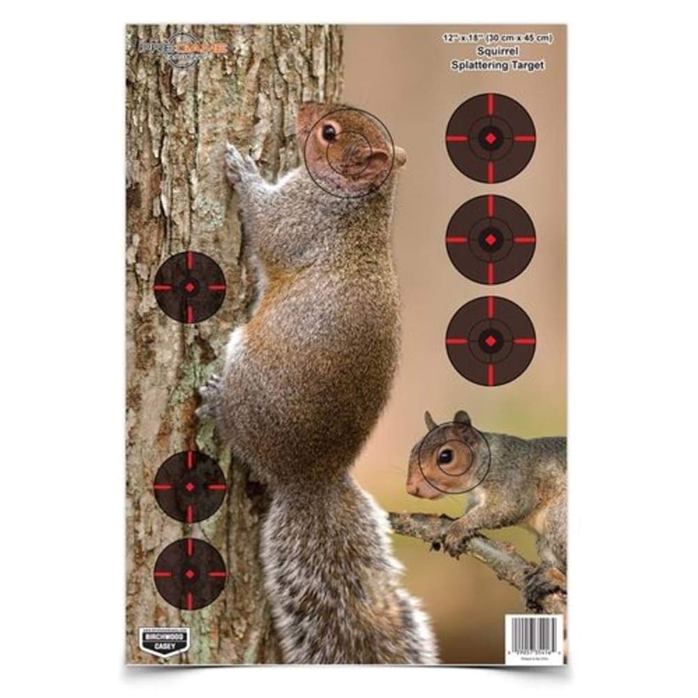 Full Sized Printable Squirrel Target?