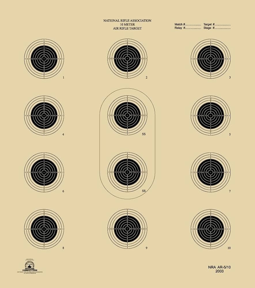 Amazon Official NRA Shooting Targets AR 5 10 Air Rifle 10 Meter 33 Ft 12 Bullseye Black 100 Pack Sports Outdoors