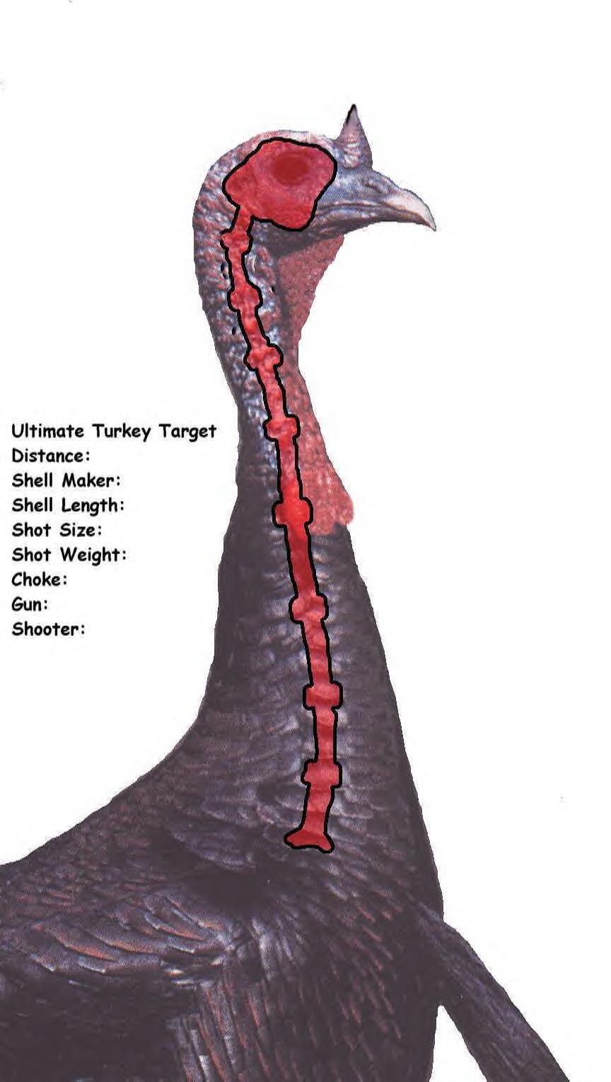 Downloadable Turkey Targets Worksheets Library