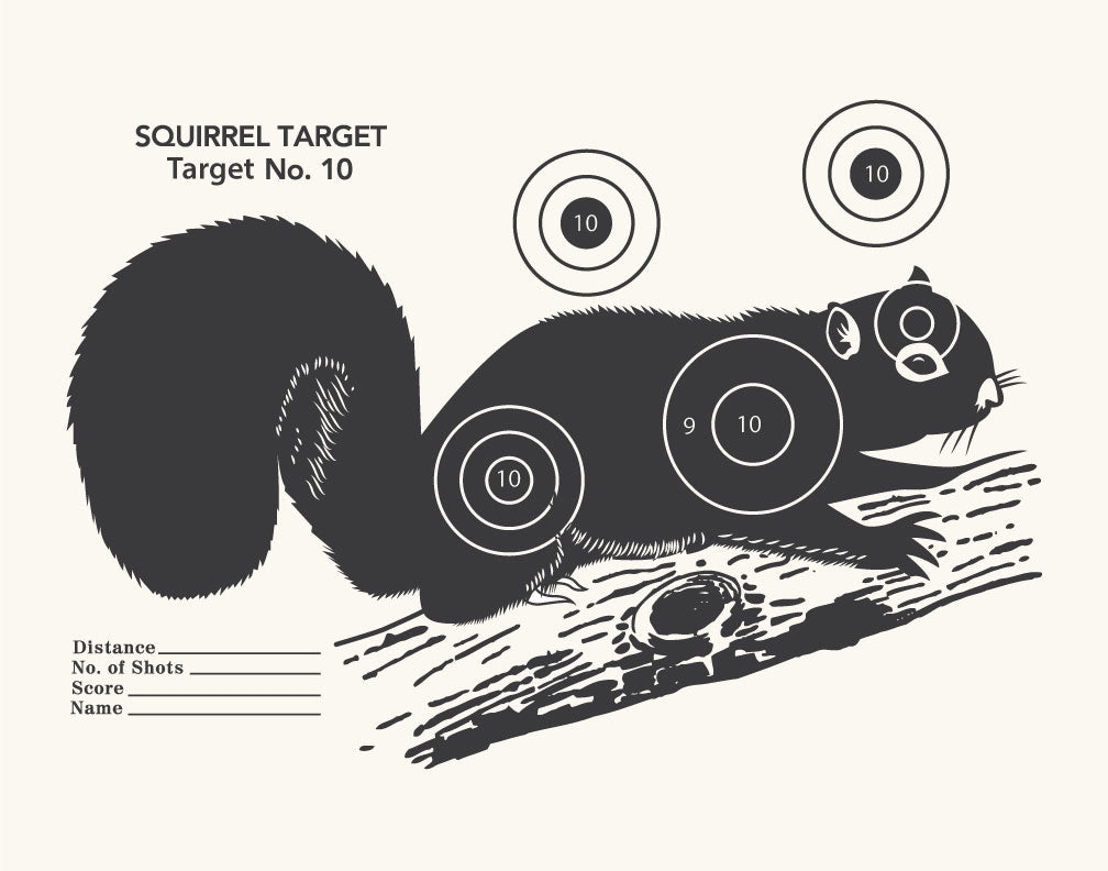 Free Printable Air Rifle Targets A4 17cm 14cm The Airgun Centre Worksheets Library