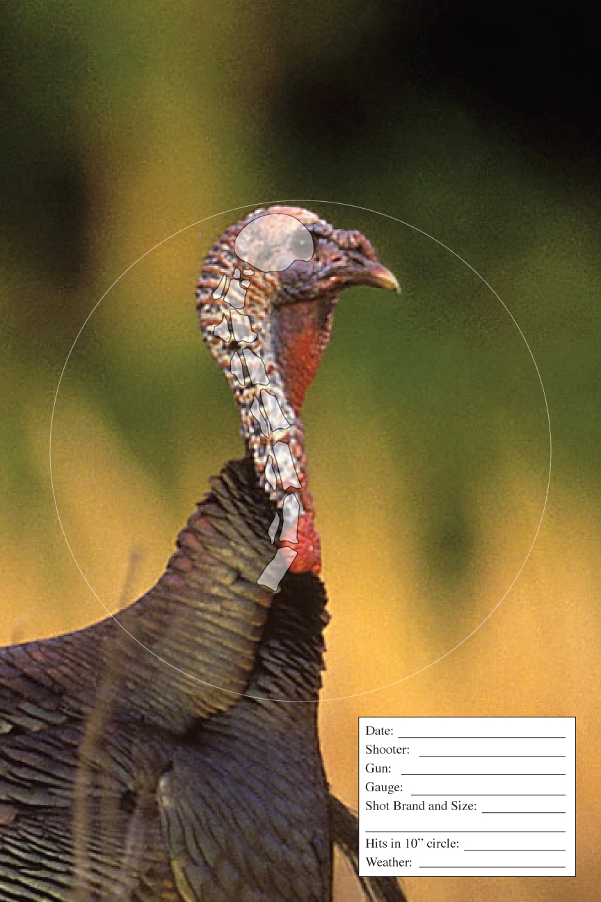 Free Printable Turkey Target Printable