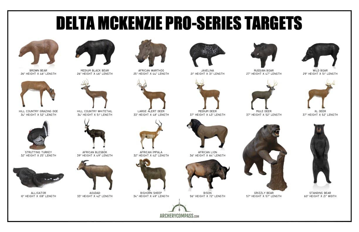 Printable Arrow Placement Cards Mckenzie Targets