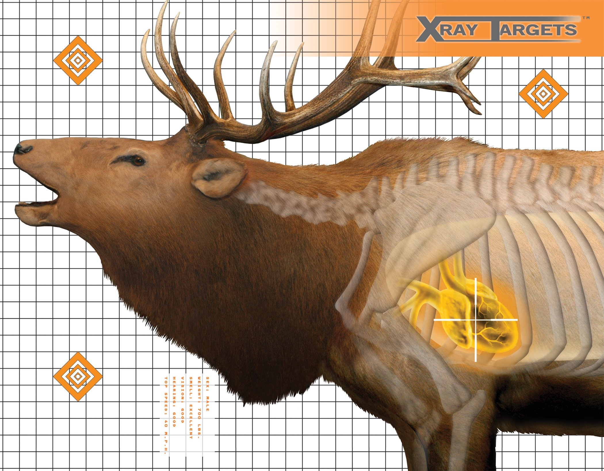 Hunting Target Daily Bulletin