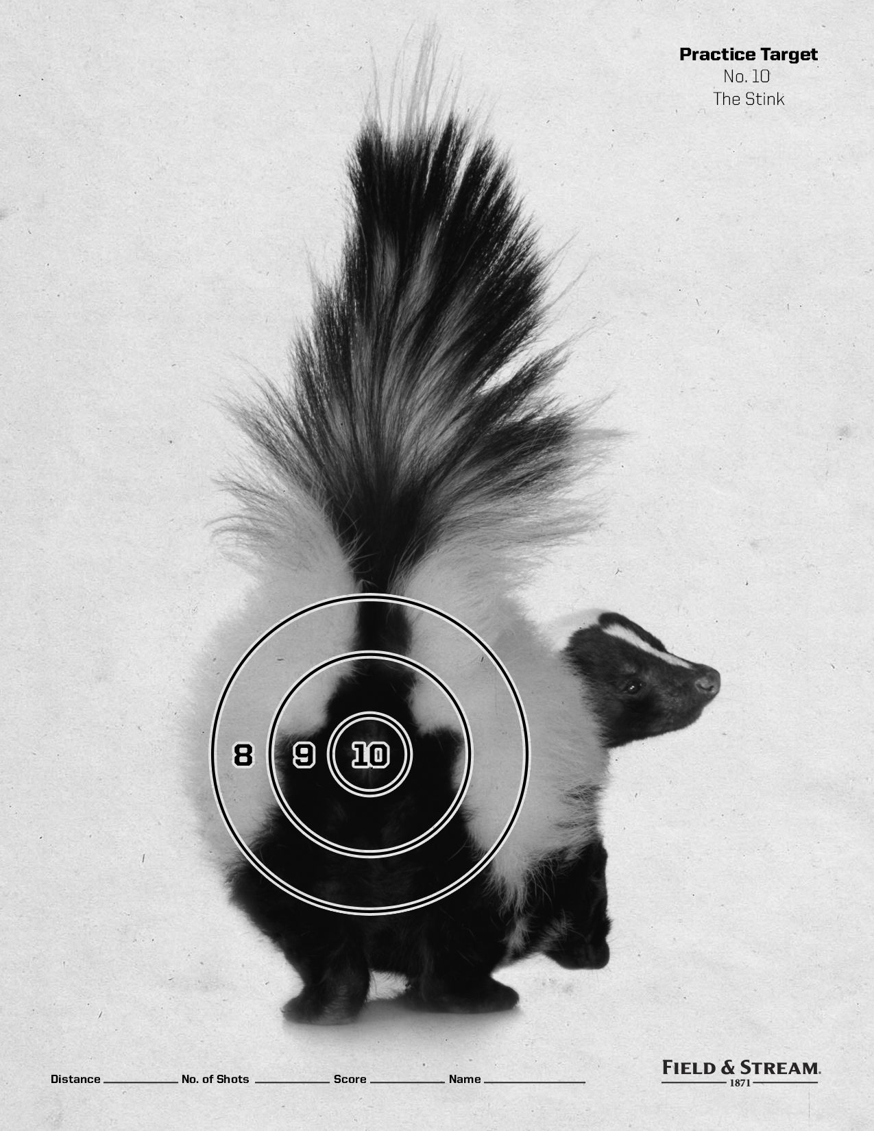 Pellet Gun BB Targets