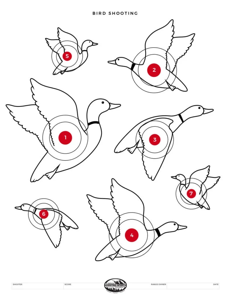 Free Funny Printable Targets For Shooting Practice