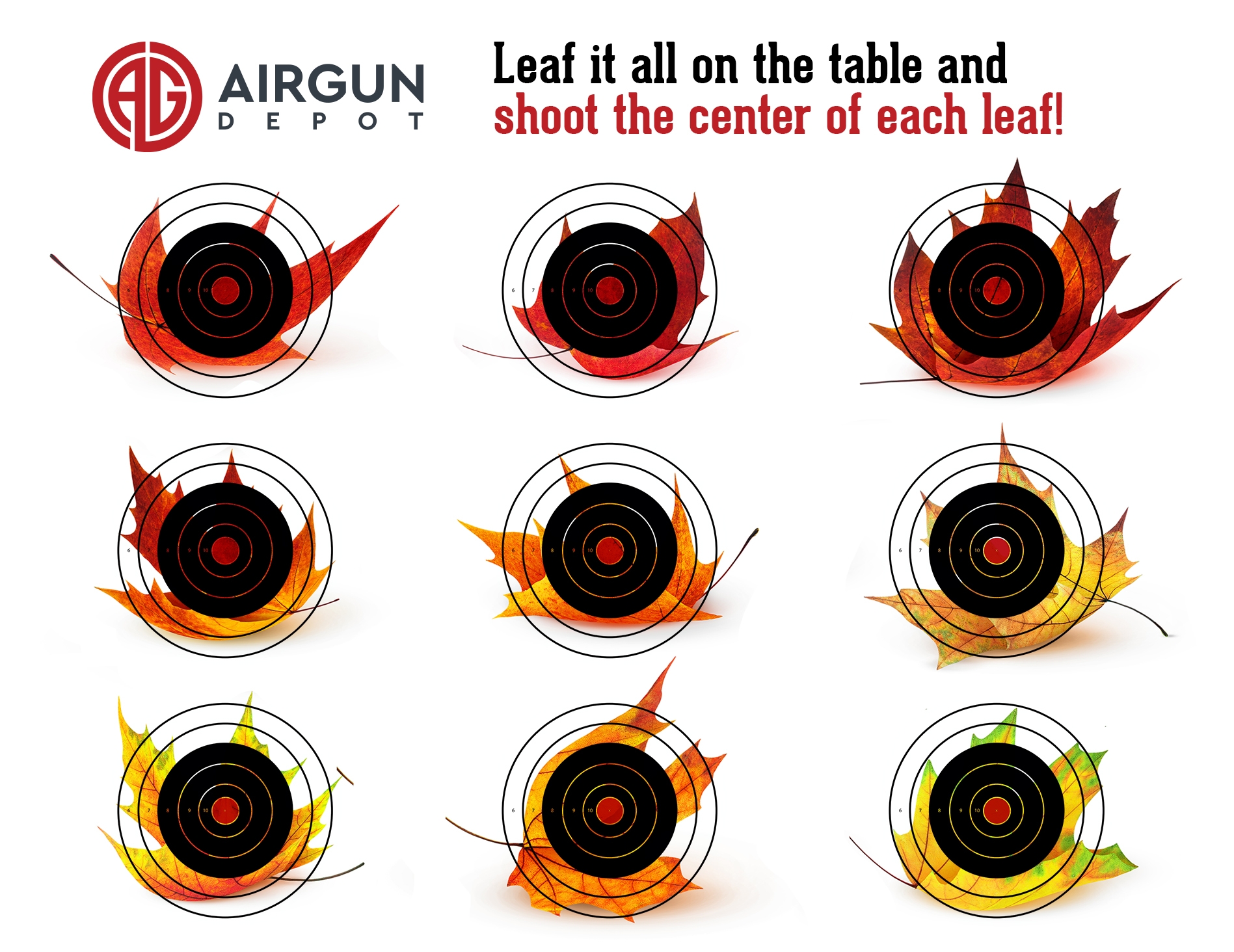 Air Rifle Target Printable With Sighting