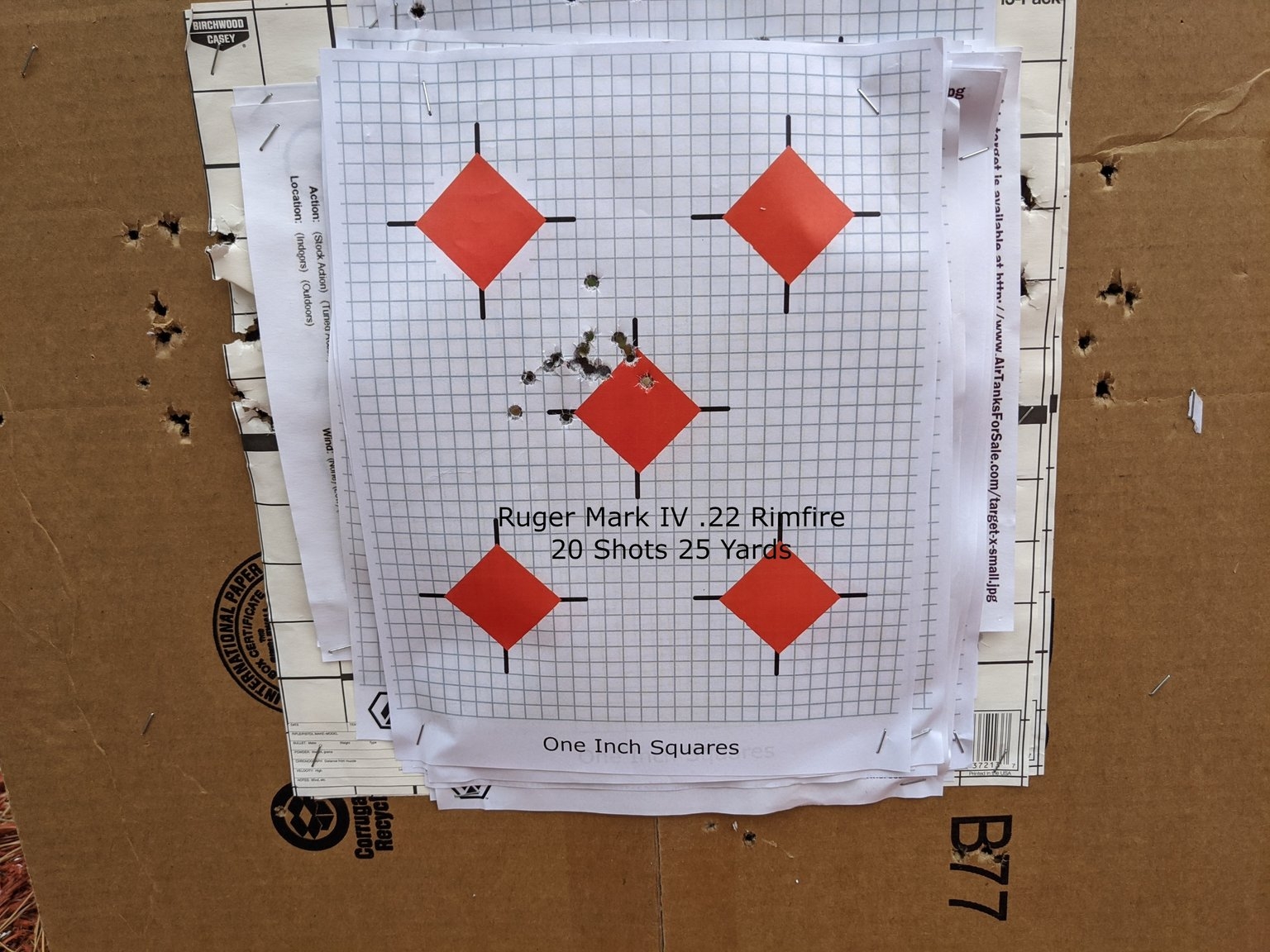 Ruger Mark IV From The Bench 25 Yards Hive