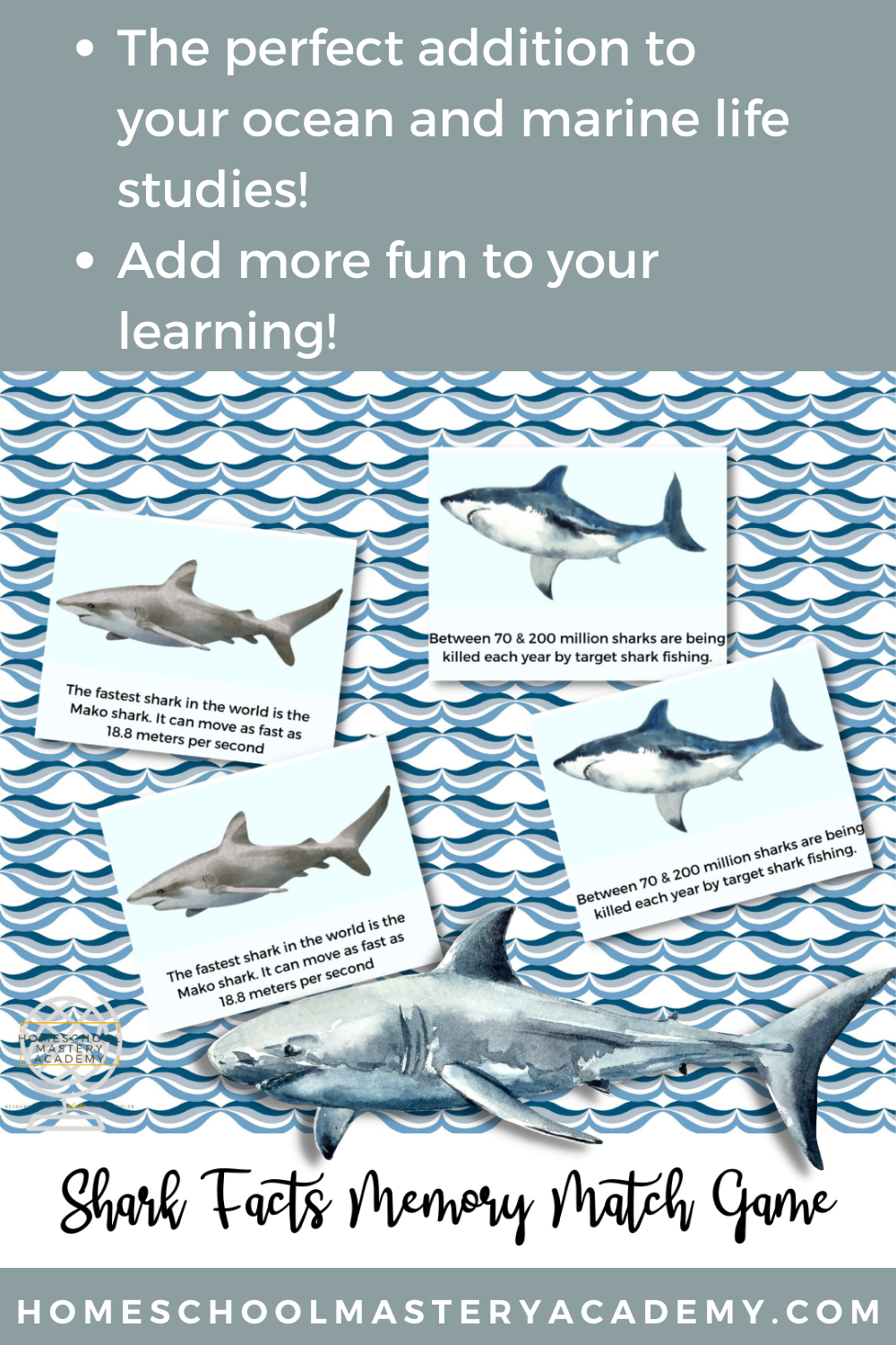 Shark Facts Memory Game Play Match Games For Learning Fun