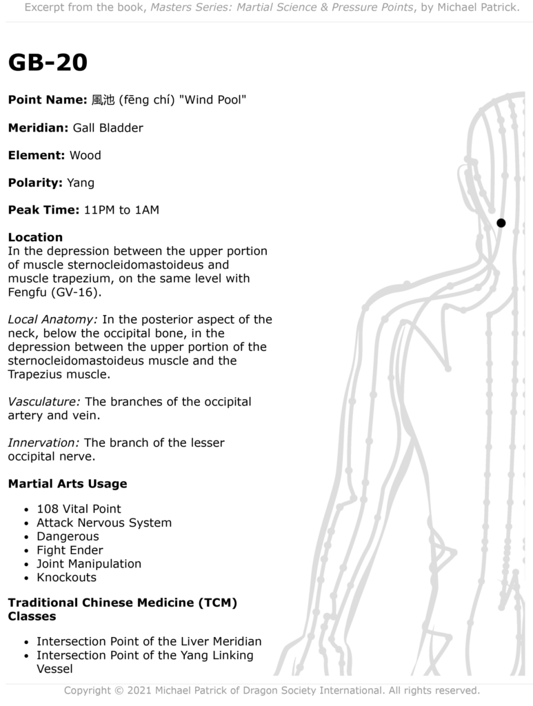 Martial Arts Strike Points Printable Target