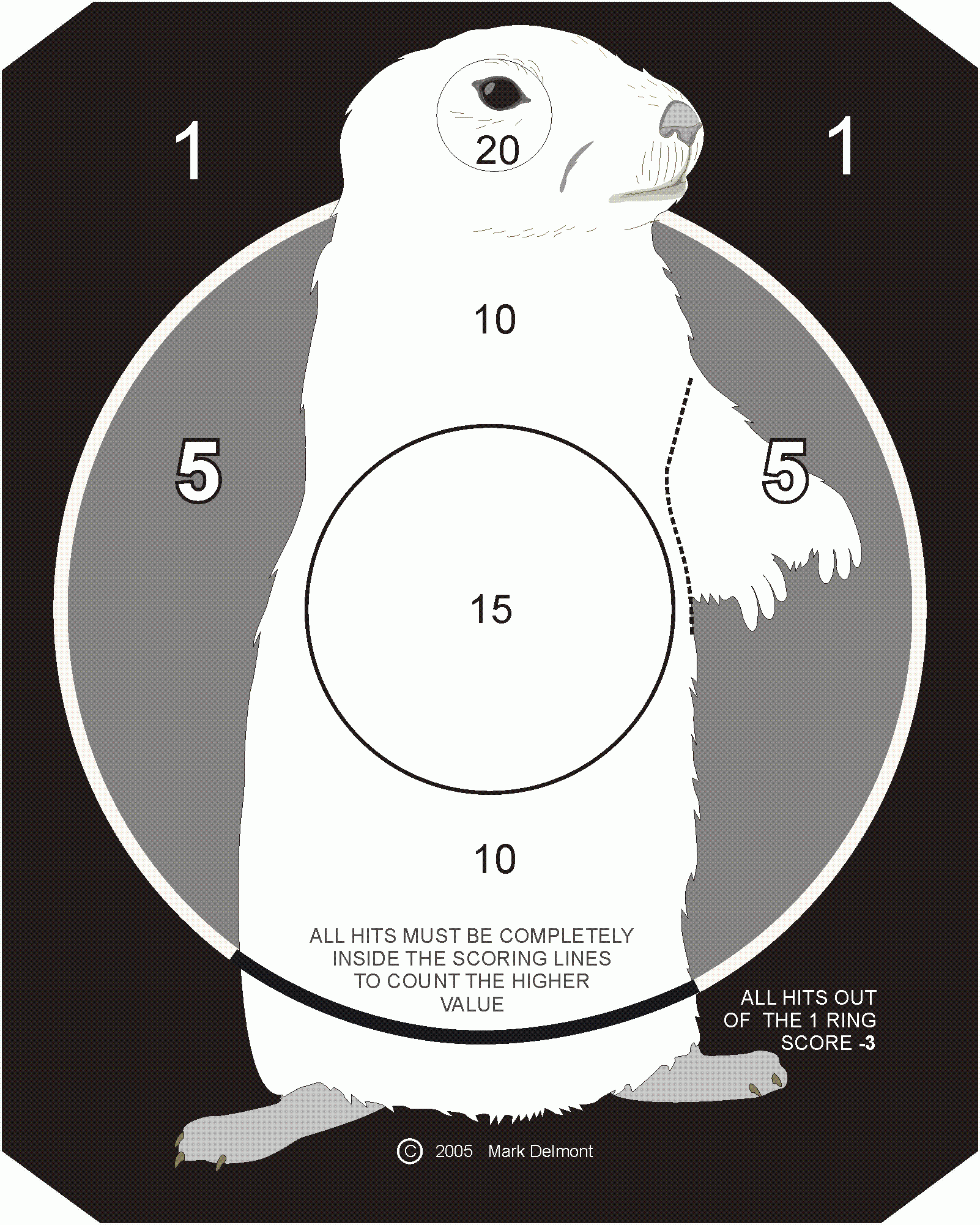 TARGETS That We Use At AMC