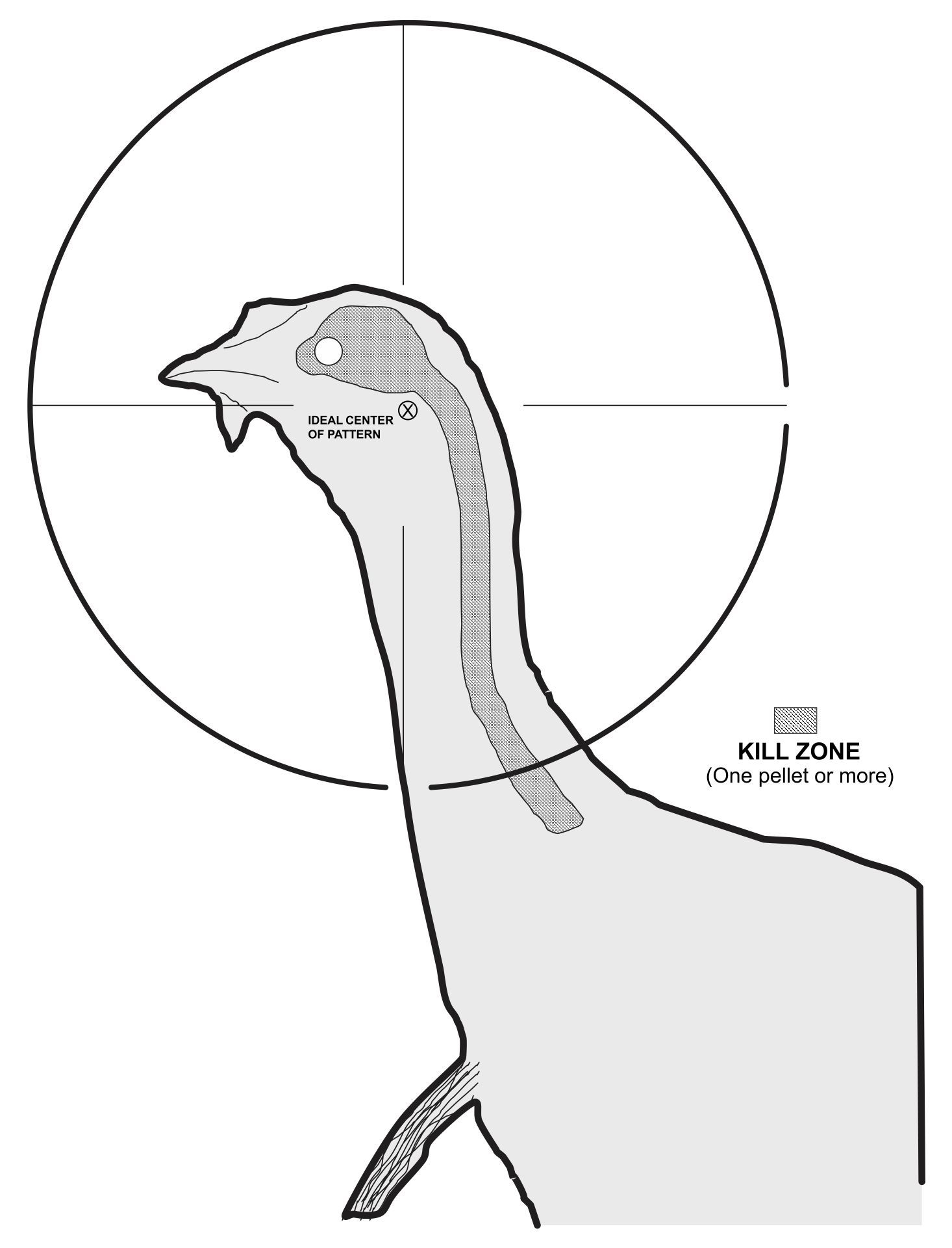 Turkey Hunting Target Realistic With Vitals Targets4Free Worksheets Library