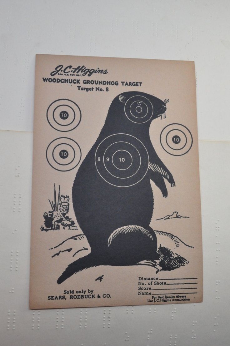 Vintage J C Higgins Woodchuck Groundhog Target Paper Target No 8 Sears Roebuck Shooting Target Vintage Rifle Target Hunting Target