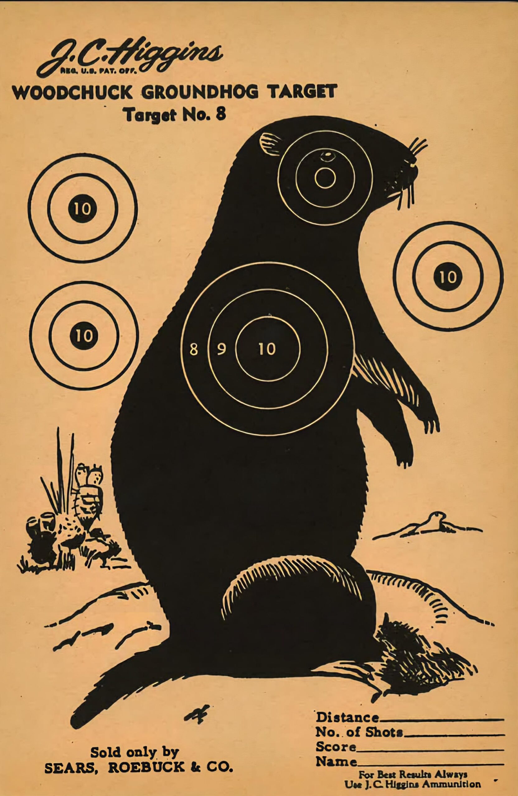Free Printable Woodchuck Groundhog Paper Targets