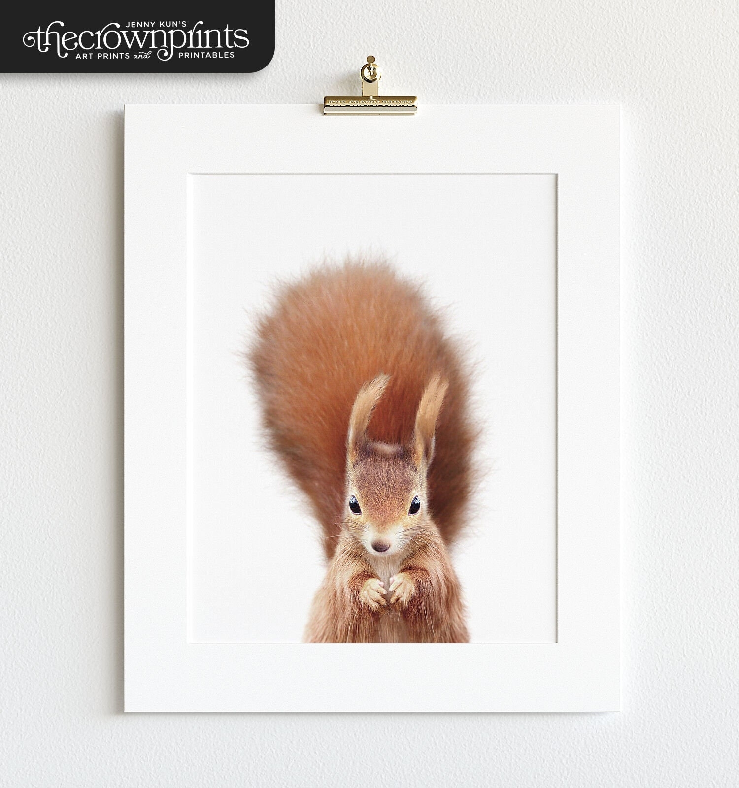 Printable Squirrel Targets To Print 8.5x11